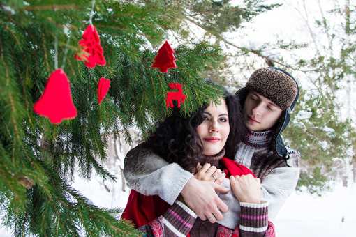 5 Best Christmas Tree Farms in North Dakota!